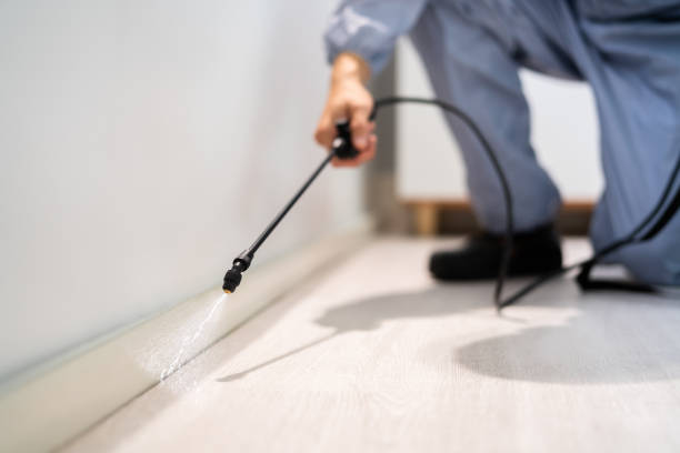 Professional exterminator conducting IPM assessment in Hillsboro
